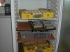 dscn5752